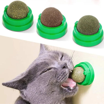 Bola Catnip