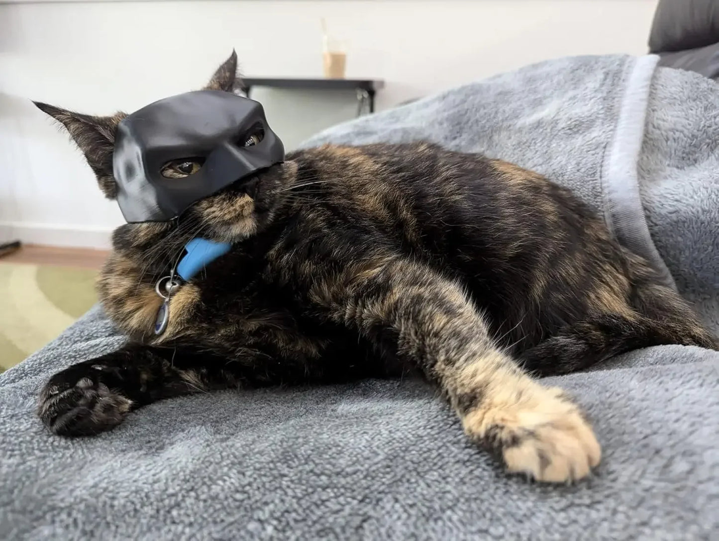 Máscara Bat-Cat