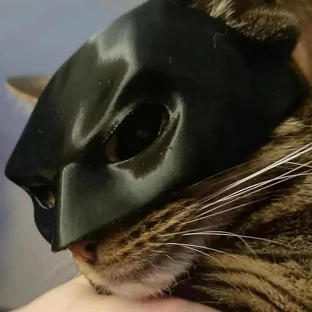 Máscara Bat-Cat